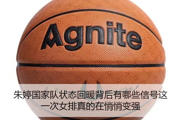 img_1780976536593_154_2_283.jpg